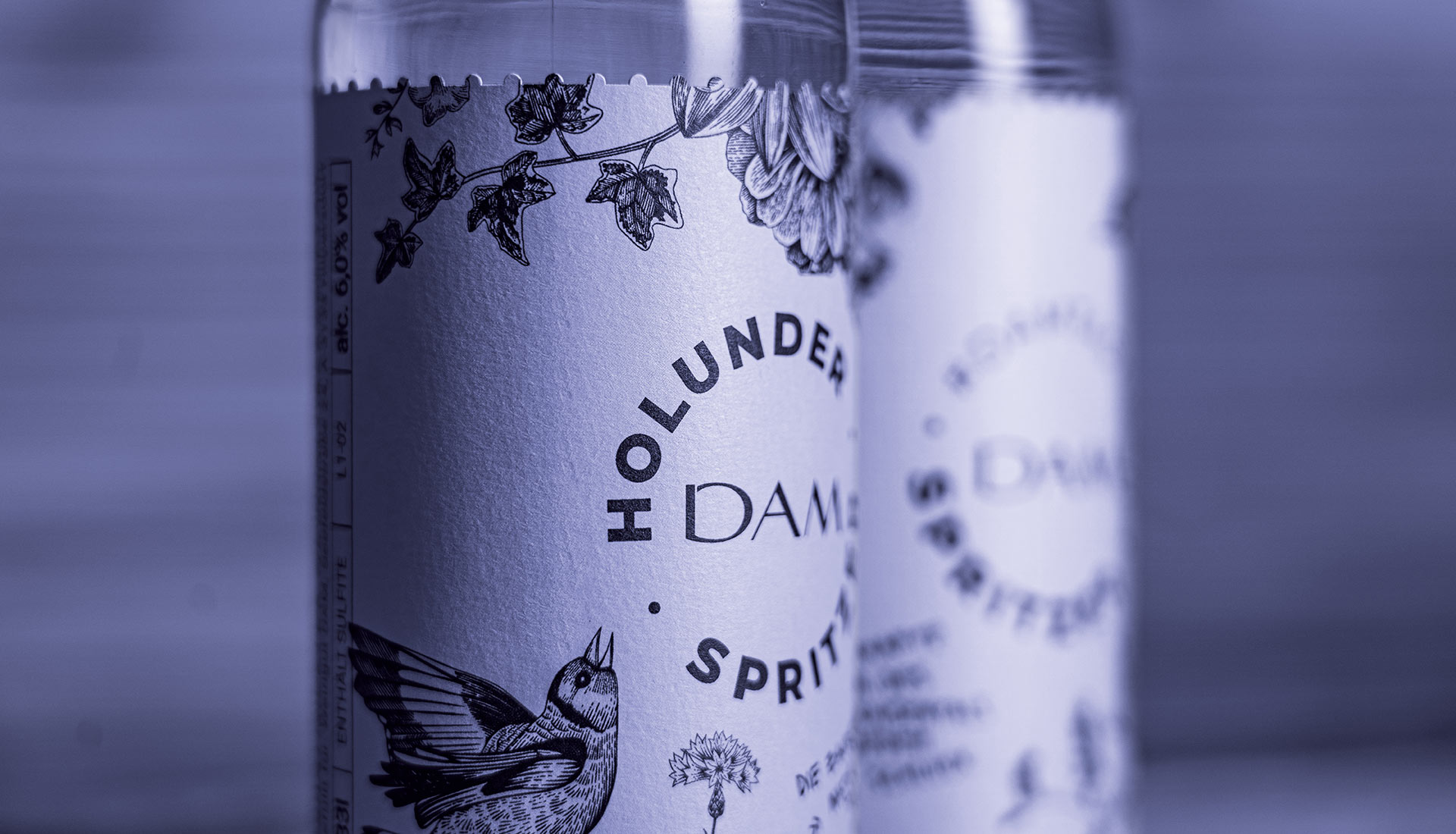 Packagingdesign / Etiketten / Weingut Dam